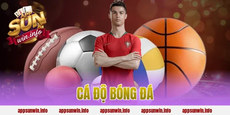 cá độ bóng đá