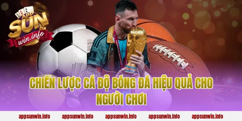 Chiến lược cá độ bóng đá hiệu quả cho người chơi