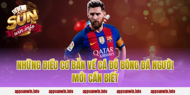Những điều cơ bản về cá độ bóng đá người mới cần biết